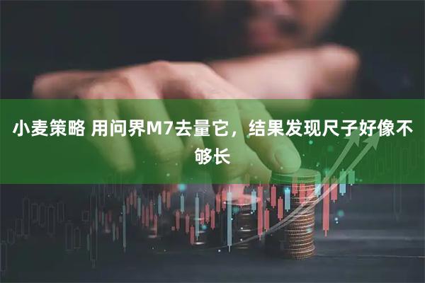 小麦策略 用问界M7去量它，结果发现尺子好像不够长