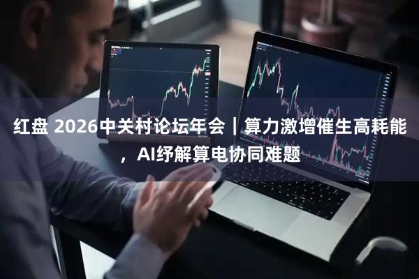 红盘 2026中关村论坛年会｜算力激增催生高耗能，AI纾解算电协同难题