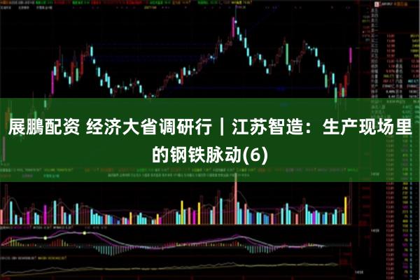 展鵬配资 经济大省调研行｜江苏智造：生产现场里的钢铁脉动(6)
